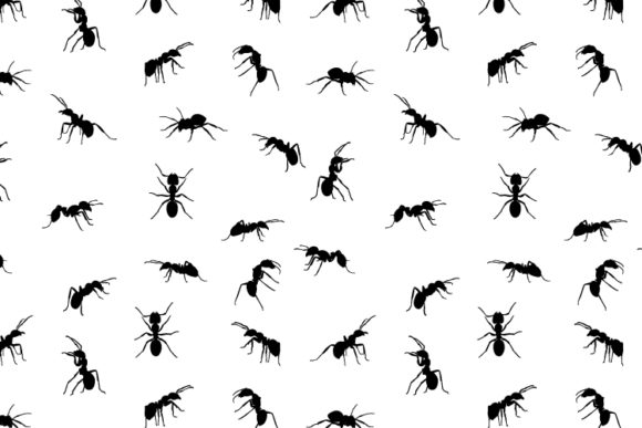 Ant Pattern Review