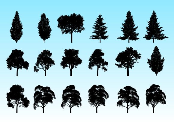 Trees Silhouettes Set Vector Graphic